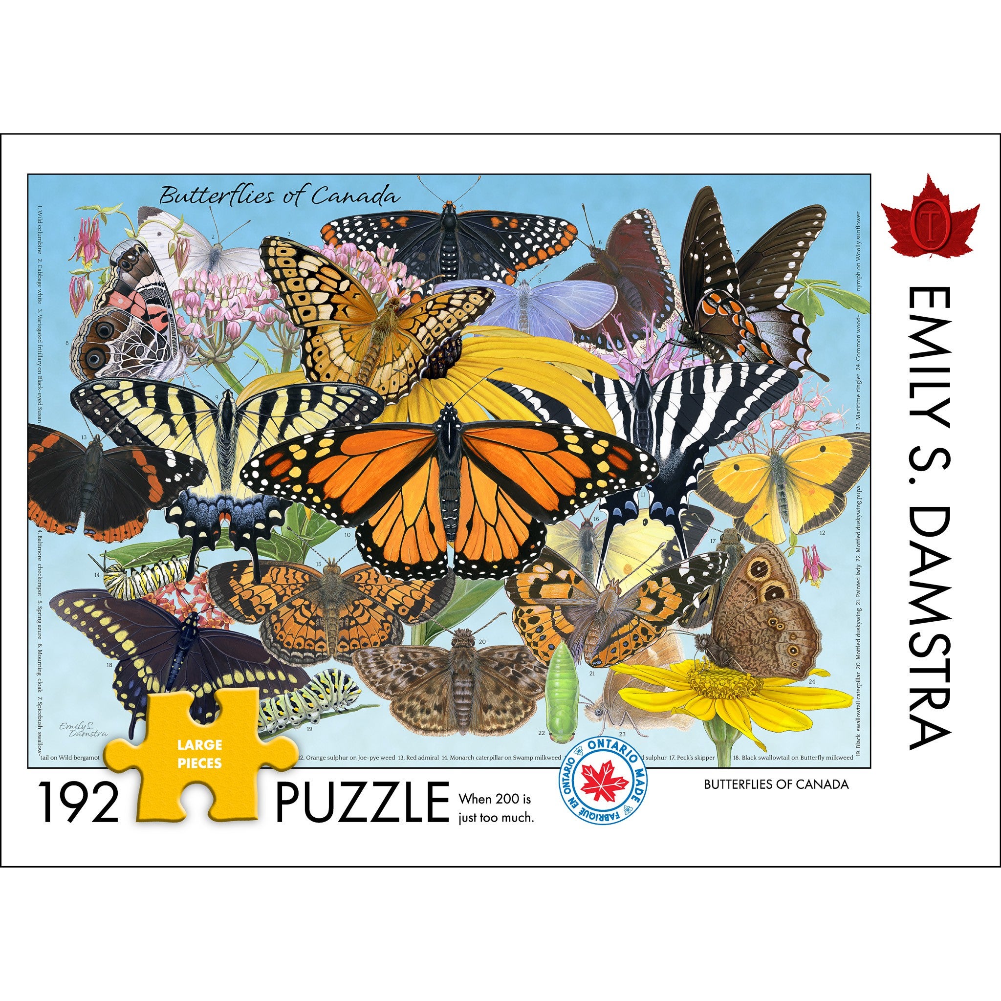 ドウセイカレシ　ButterflyLip Butterfly Gloss セット Butterflies of Canada - Emily Damstra - 1008, 504 & 192 pieces